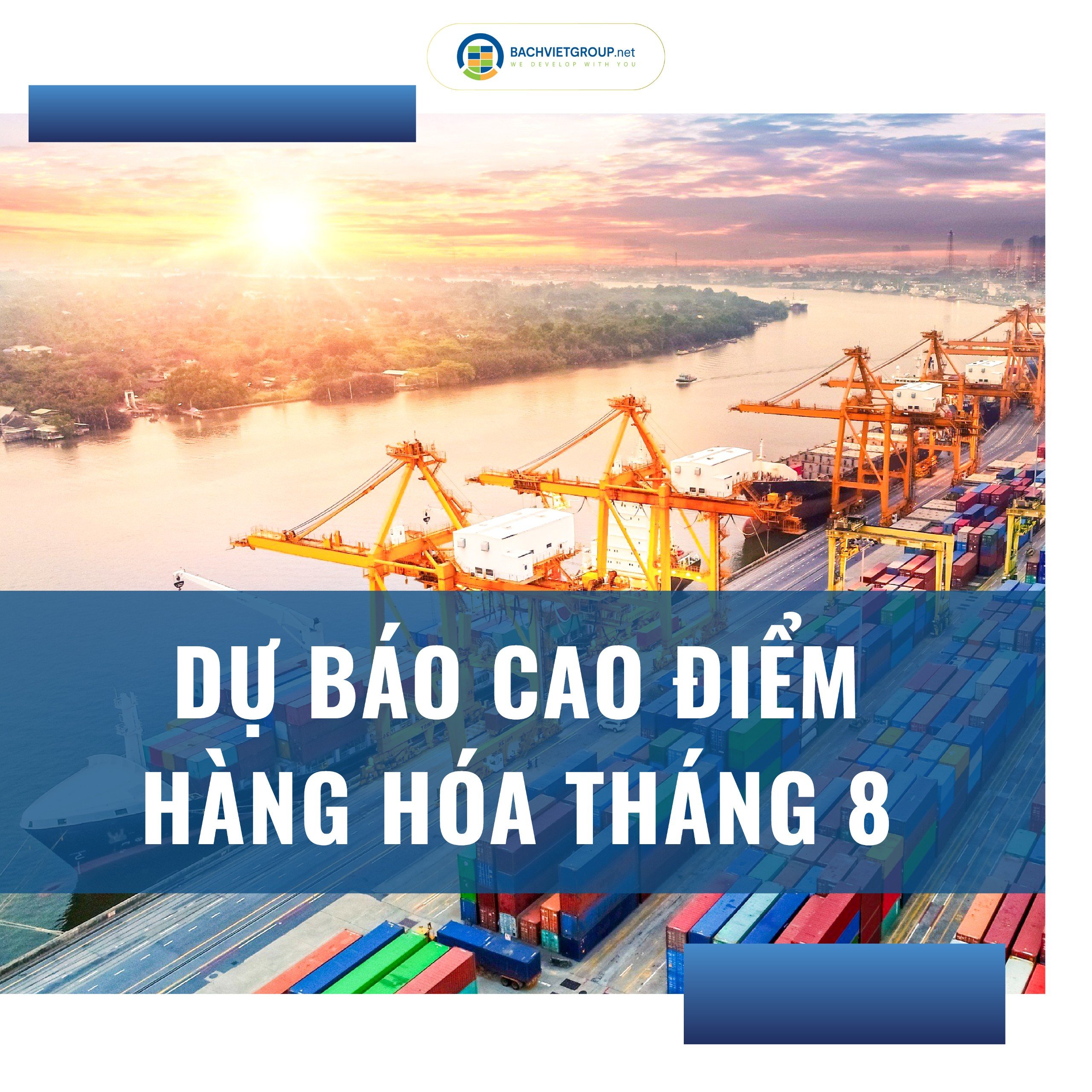 DỰ BÁO CAO ĐIỂM HÀNG HÓA THÁNG 8